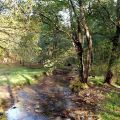 Paseo por el Parque Natural del Montseny