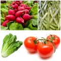 Frutas y verduras de temporada: Junio
