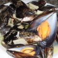 Mejillones al hinojo