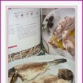 DORADA A LA SAL