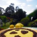 Tarta limón
