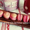 MACARONS SIN LACTOSA SABOR CHICLE