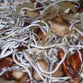 GULAS CON HONGOS NEGROS