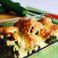 FALSA BECHAMEL