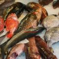 Pescado y mariscos de Galicia