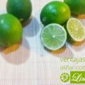 Ventajas de aliñar con limón / limonada con chía