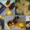 GINGER LEMON ICE - CUBITOS DE HIELO CON SABOR A[...]