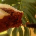 Bizcocho de zanahoria al chocolate con nueces y[...]