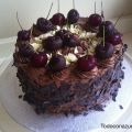 TARTA DE CEREZAS Y CHOCOLATE