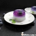 PANNACOTTA DE ARÁNDANOS