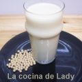 Leche de Soja y Hamburguesas de Soja