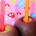 Chocolate Covered Apples
