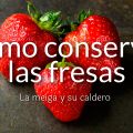 Cómo Conservar las Fresas