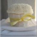 Cupcakes de Coco y Chocolate