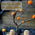 Postre Lácteo de Chocolate