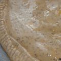 OTRA EMPANADA GALLEGA...