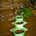 FRUTAS DE PRIMAVERA GRATINADAS CON CREMA DE[...]