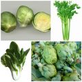 Frutas y verduras de temporada: Enero