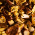 BOLETUS CONFITADOS
