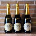 Sorbete de cava