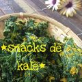 Snacks de Kale