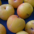 MARMELADA DE AMEIXA BRANCA