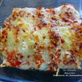 Canelones de champiñones