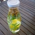 AGUA DEL CARMEN - CARMEN WATER IN ENGLISH