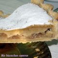 Tarta de peras de invierno con avellanas