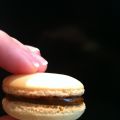MACARONS de DULCE DE LECHE, GANACHE CHOCOLATE[...]