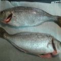 BESUGO AL HORNO