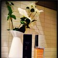 Mi Base de Maquillaje Favorita: Diorskin Nude,[...]