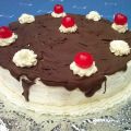 PASTEL SELVA NEGRA