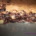 BROWNIE DE CHOCOLATE Y NUECES