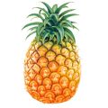BIZCOCHO CON PIÑA EN SU JUGO