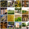 Hablando del mundo del vino...