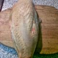 Pollo Frito al Vino Fino