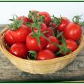 TOMATE FRITO