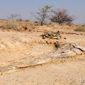 Damaraland