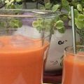 GAZPACHO ANDALUZ