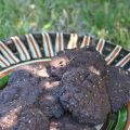 Galletas con doble chocolate