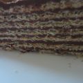 Tarta huesitos