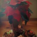 Cupcakes De Ferrero Rocher
