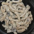 Pasta ai funghi