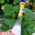 Leche de Coco