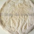 Pizza con Queso Rulo