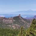 ¿Dónde comer en Gran Canaria?