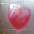 Gin Tonic con Esencia de TE (GIN TONIC ICED[...]