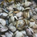 Almejas a la marinera