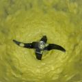 Alioli (con huevo) con Thermomix